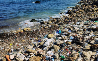 Beach Cleanups — Licata, Sicily