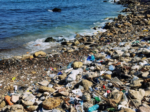 Beach Cleanups — Licata, Sicily