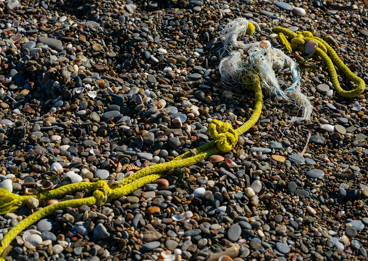 Beach Cleanups — Licata, Sicily